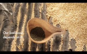 seeds-of-freedom-screenshot-2012-06-11-at-12-21-20