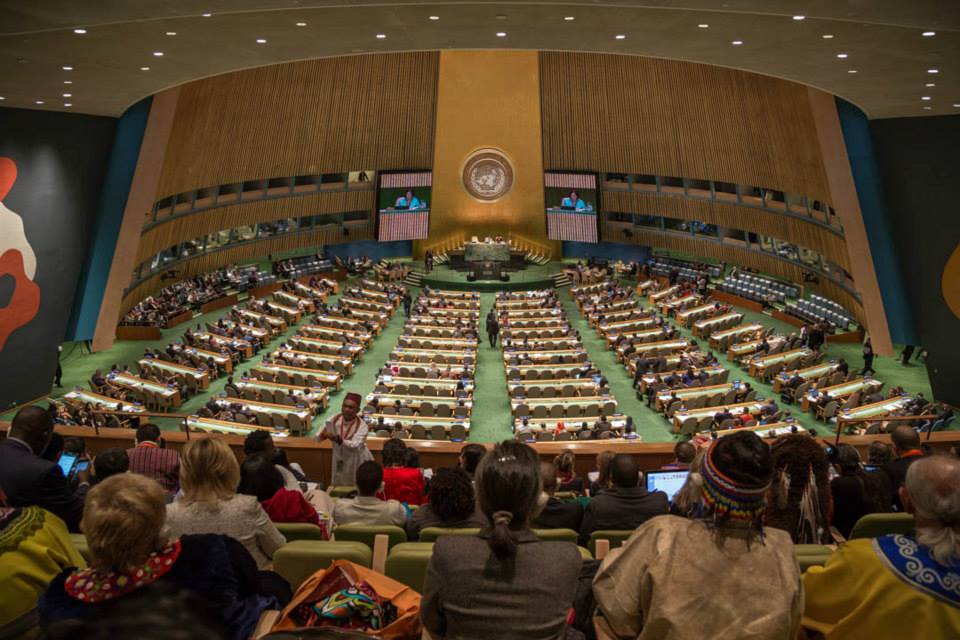 Implementing the United Nations Declaration on the Rights of Indigenous Peoples