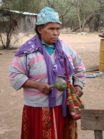 Paraguay – Stop deforestation affecting the Ayoreo People living in voluntary isolation