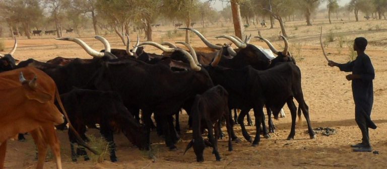 Niger: Le Houroum de Malley