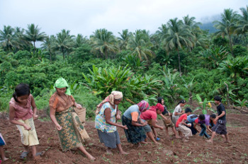 A group of indigenous Pala’wan planting upland rice in the Municipality of Brooke’s Point