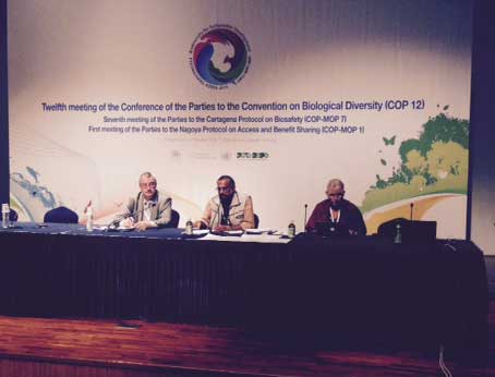 The ICCA Consortium at the CBD COP 12