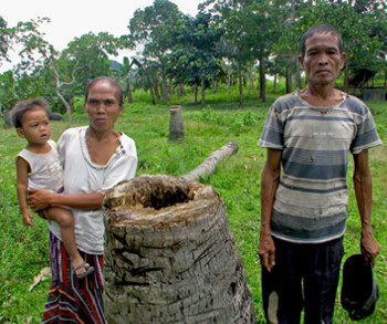 The Philippines – Halt oil palm rush in Palawan “Man & Biosphere reserve”