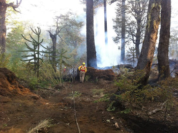 Chile – Incendio devastador amenazando el territorio de las comunidades de Quinquén y de Icalma