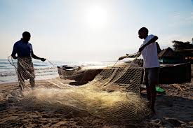 Honduras – Law on fisheries and aquaculture threatening traditional fishing practices.