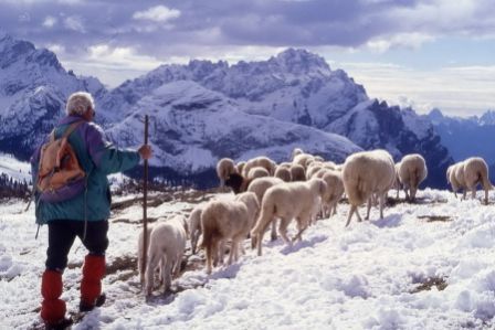 The commons of the Regole of the Ampezzo Valley, Italy