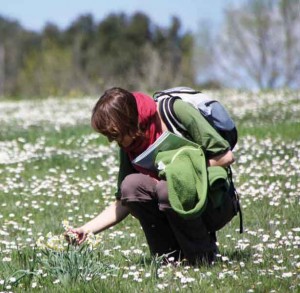 Caring together for nature in Europe