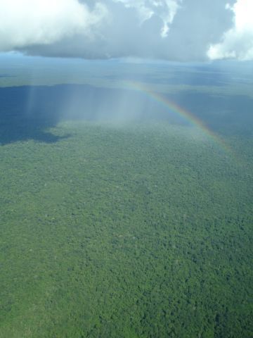 Inhibition of Amazon Deforestation and Fire by Parks and Indigenous Lands