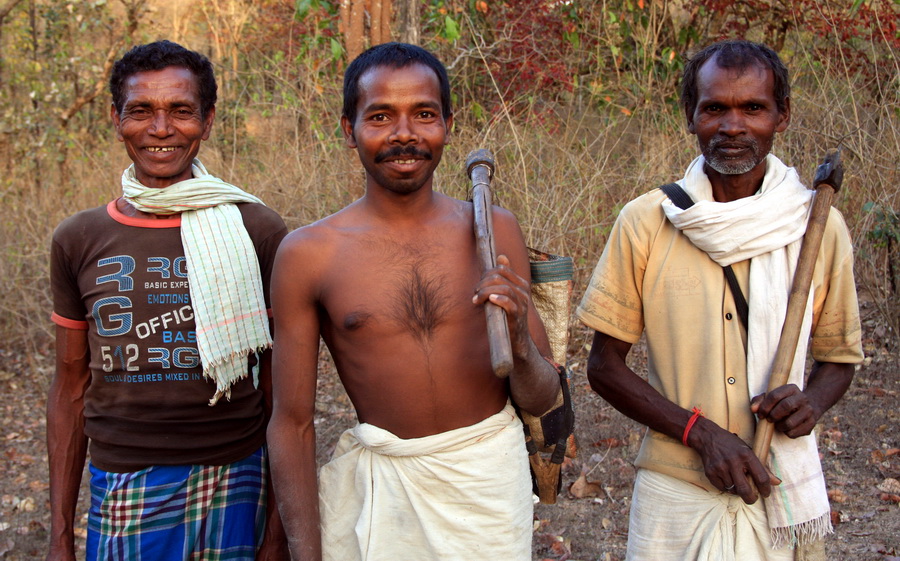 Community Forest Governance: the Jharkhand Save the Forest Movement in India