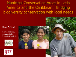 Municipal Conservation areas in Latin America and the Caribbean: Bridging biodiversity with local needs