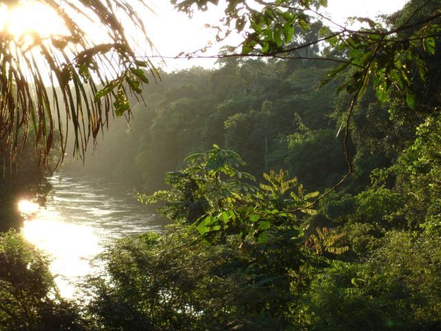 The Myth of Wilderness in the Brazilian Rainforest