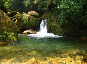 Synthesis of the project: Recognition and support to Indigenous and Community Conserved Areas (ICCAs) in northern Mesoamerica