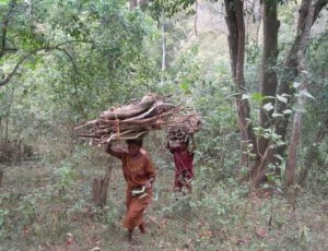 The Forest Rights Act of 2006 and its consequences for community forest conservation and governance in India