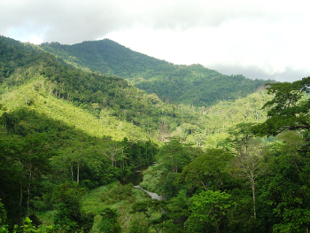 Batak ancestral land, sustainably managed through traditional kaingin practices