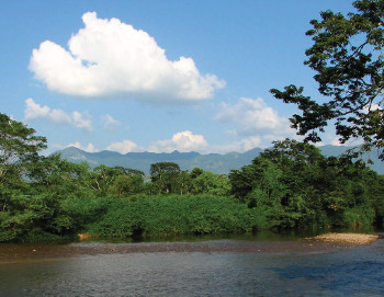 Chimalapas: La defensa del territorio y de los bienes naturales como un factor de identidad indígena