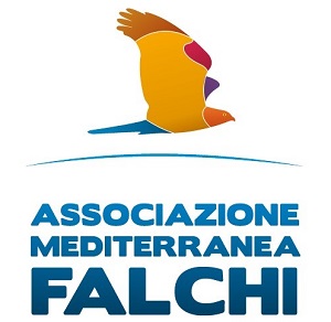 Associazione Mediterranea Falchi / Hawks Mediterranean Association