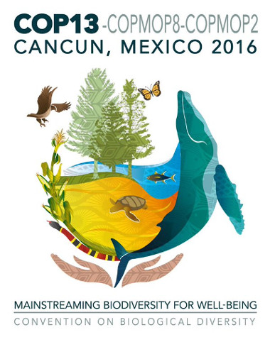 The Consortium at the 13th Conference of the Parties of the Convention on Biological Diversity (CBD COP 13)