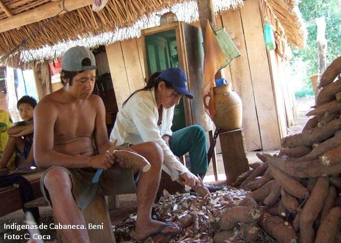 Bolivia: Leco Larecaja y Pilon Layas