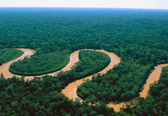 Titling indigenous communities protects forests in the Peruvian Amazon