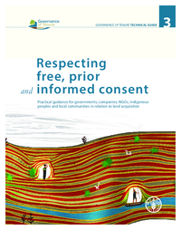 Respecting free, prior and informed consent: Practical guidance for governments, companies, NGOs, indigenous peoples and local communities in relation to land acquisition