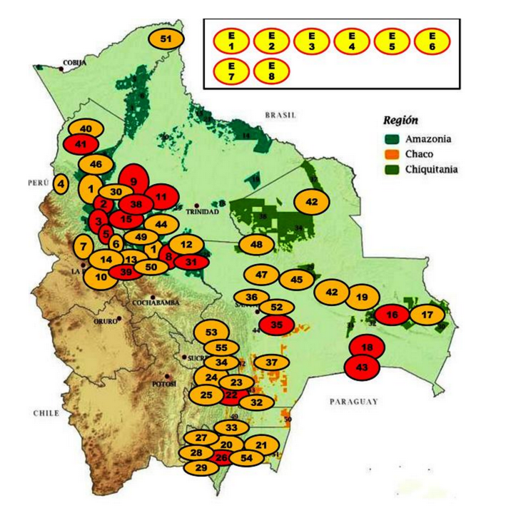 Human Rights Violations of Indigenous Peoples in the Bolivian Lowlands