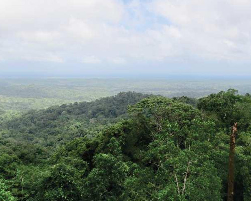 Panamá