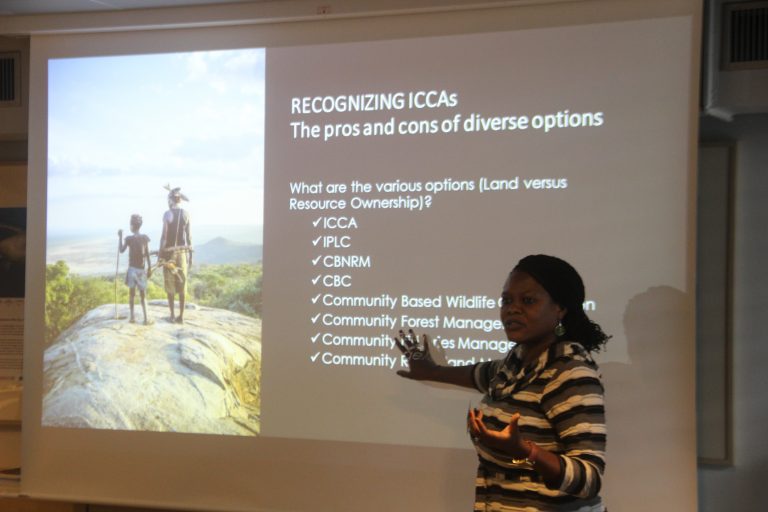 ICCAs in Africa –