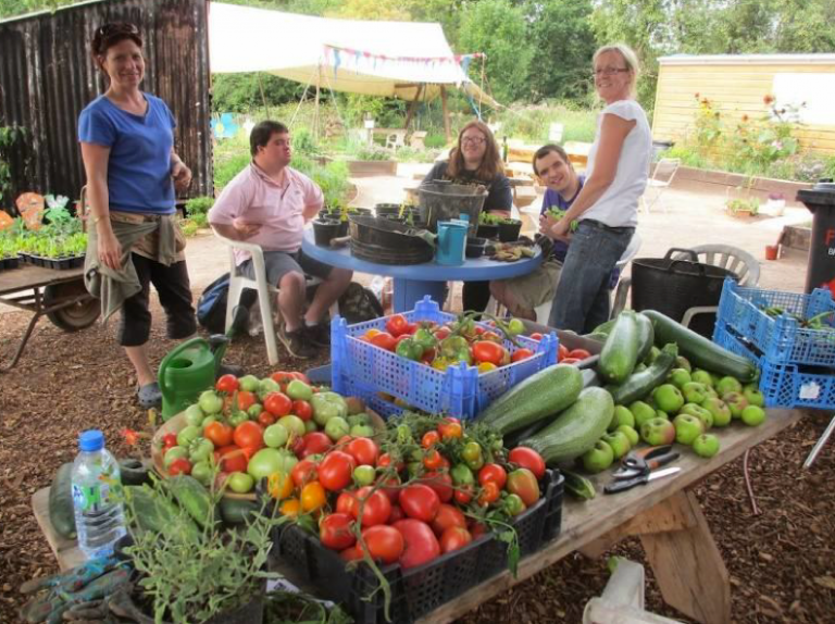 The local community food growing revolution: a perspective from Bristol, the UK