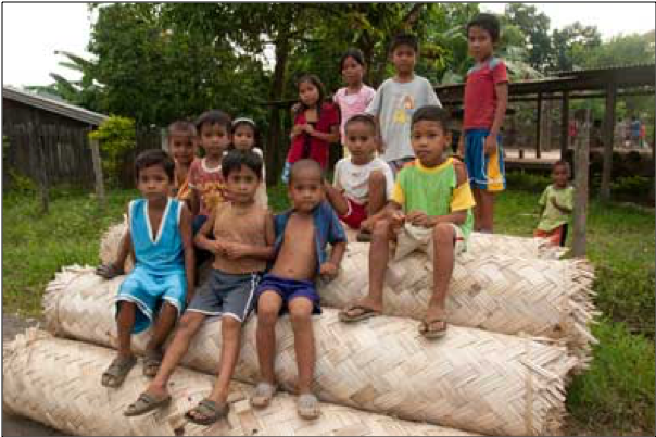 Farmers and Indigenous Peoples continue to denounce the expansion of oil palm plantations in Palawan