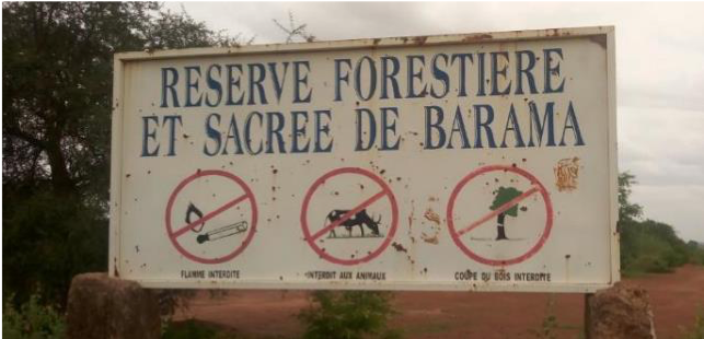 Les APAC au Burkina Faso : se préparer à la création d’une organisation nationale