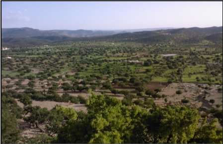 Aires conservées autochtones et communautaires au Maroc : les agdals