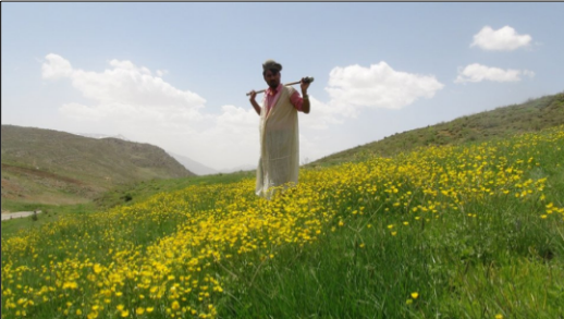 Story of community-based ecotourism in Heybatlu Sub-Tribe