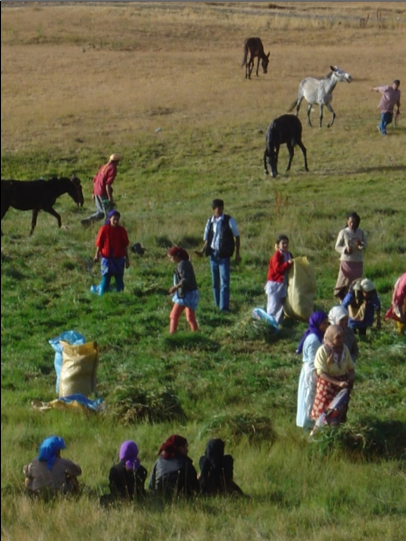 Les Agdals du haut Atlas de Marrakech (Maroc)