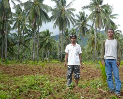 ALDAW Study Reveals the Adverse Impact of Oil Palm Expansion in Palawan (The Philippines)