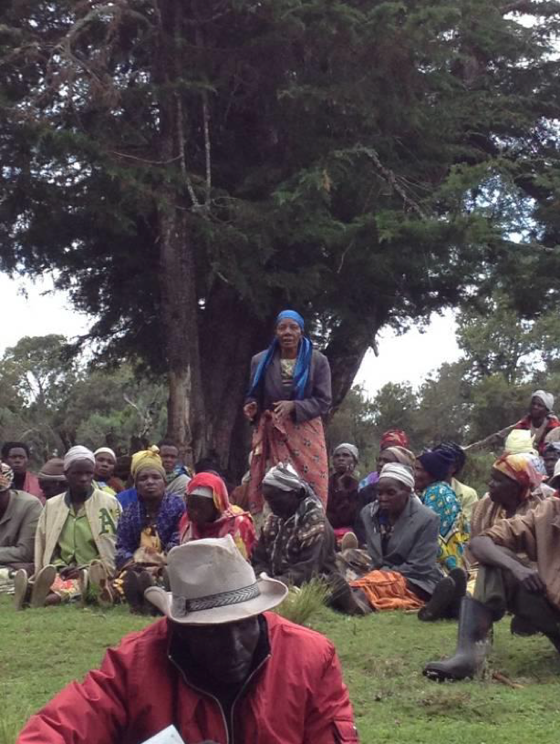 Rights-based forest conservation: Ogiek of Chepkitale, Mt Elgon, show the way