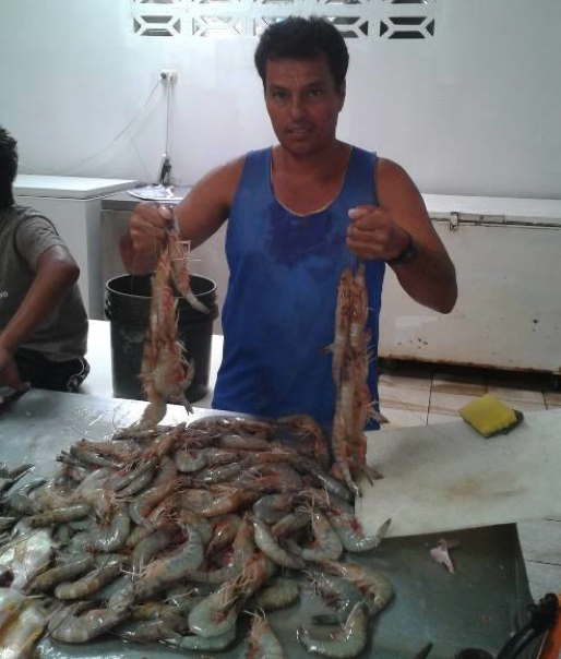 Modelo de gobernanza marina comunitaria permite beneficios locales a comunidad de pescadores en Costa Rica