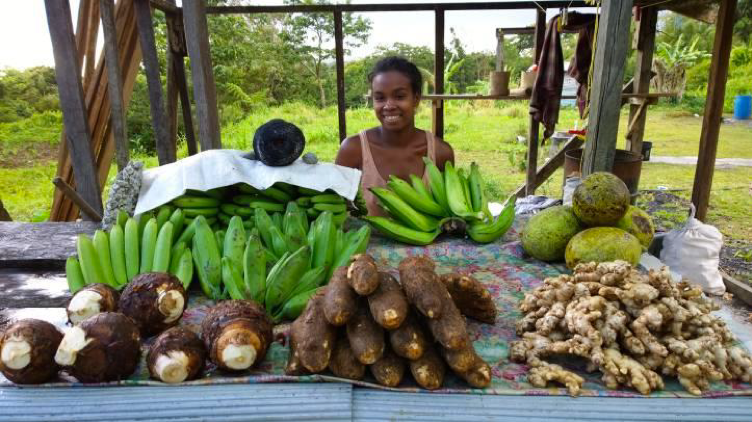 The consortium provides technical support to the first dedicated workshop on ICCAs in the Caribbean, at the heart of Dominica’s World Heritage Site