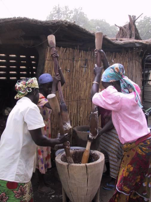 The GESA Wellbeing Initiative: a Global Food Sovereignty Initiative