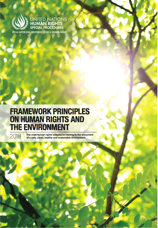 UN Special Rapporteur’s Framework Principles on Human Rights and the Environment (2018)