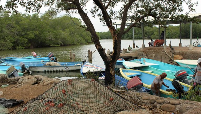 A Fight to Put Artisanal Fishers on the Map in Costa Rica