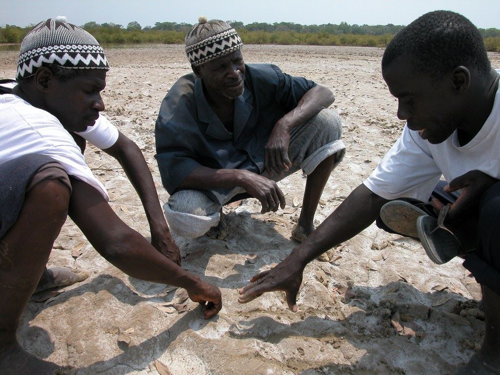 The ICCA Consortium Webinars are online!