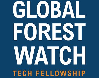 Global Forest Watch Tech Fellowship Open for Applications