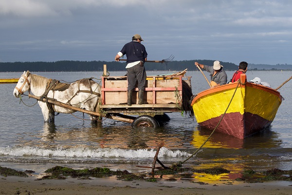 Coastal Indigenous communities in Chile: the historical struggle for access to marine and coastal areas and resources