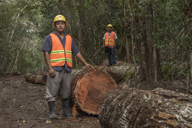 Mexico’s ejidos find sustainability by including women and youth