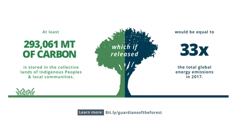 New analysis: Indigenous Peoples and Local Communities protect 5 times more carbon than previously thought