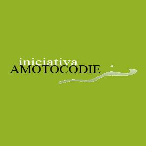 Iniciativa Amotocodie