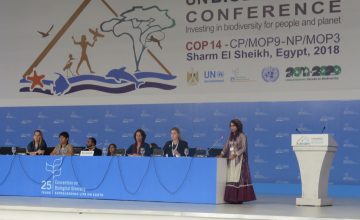 Ghanimat presenting Declaration on Nature & Culture in plenary – (c) Tanya Conlu