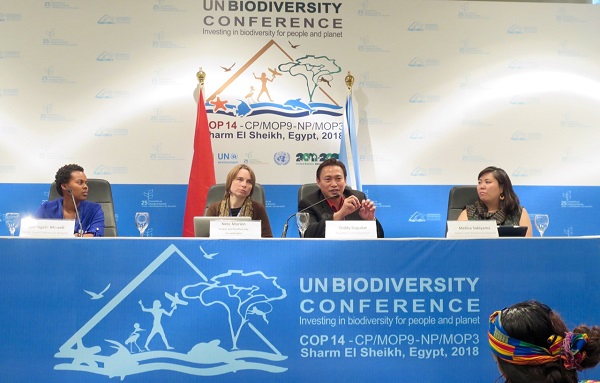 Strong showing of ICCA Consortium at biennial UN CBD COP 14 summit leads to important gains in key decisions
