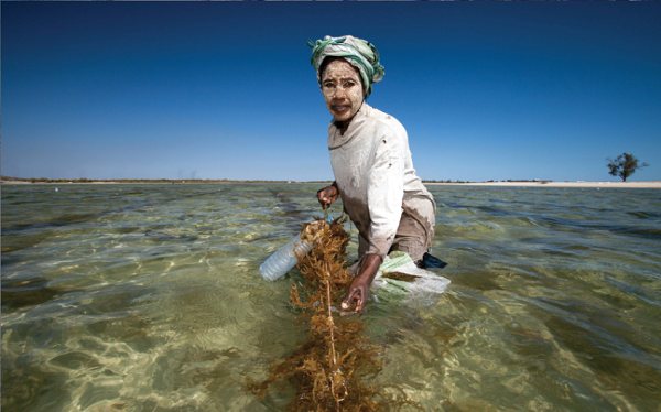 Reflections on a 15-year journey to rebuild tropical fisheries with coastal communities
