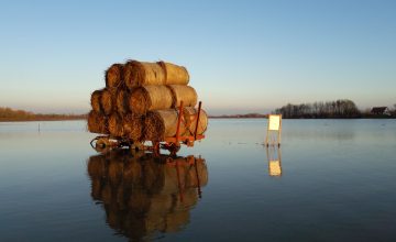 Challenges on floodland grazing (c) BED